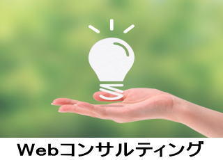Webコンサルティング